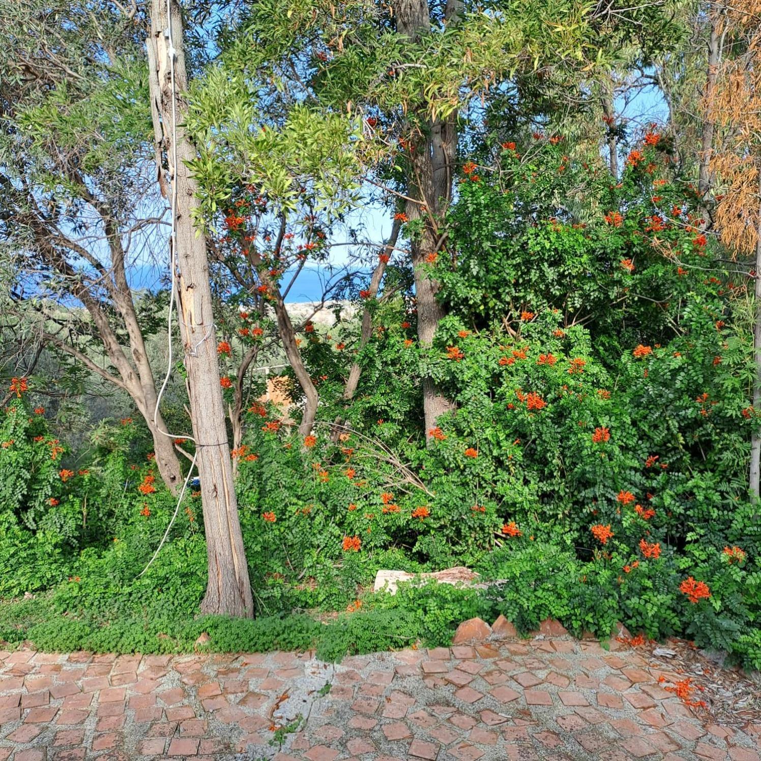 Villa Gatto Rometta Marea Kültér fotó