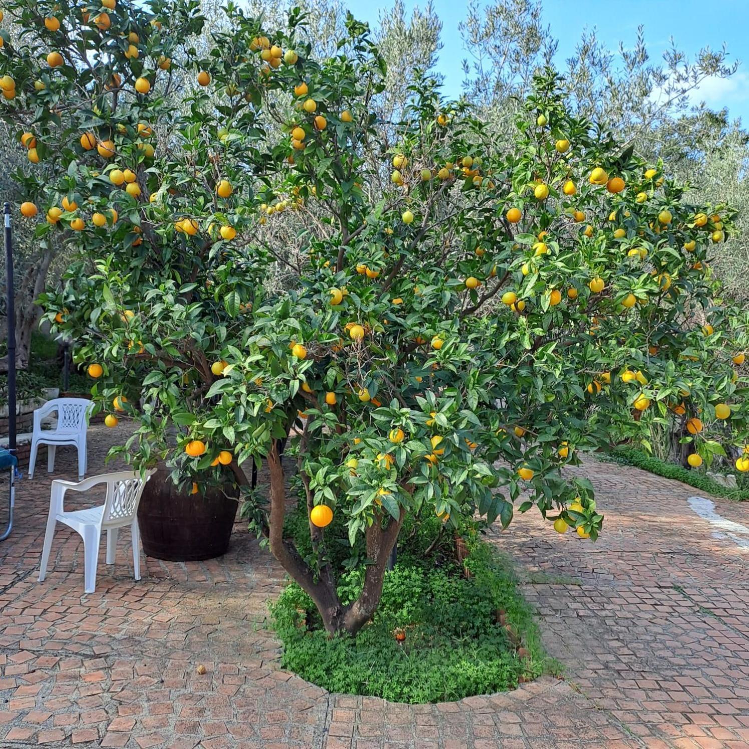 Villa Gatto Rometta Marea Kültér fotó